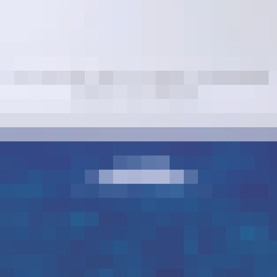 Image Title